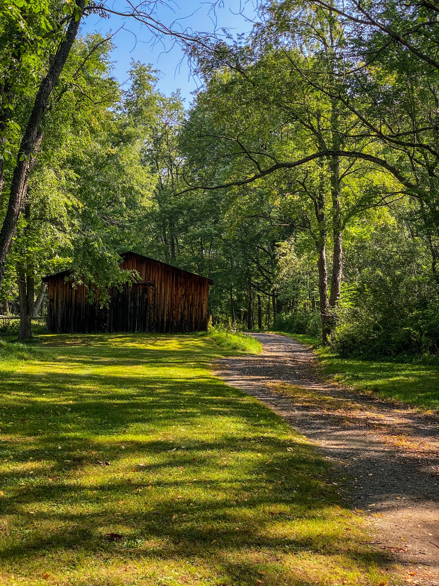Trail & Shed